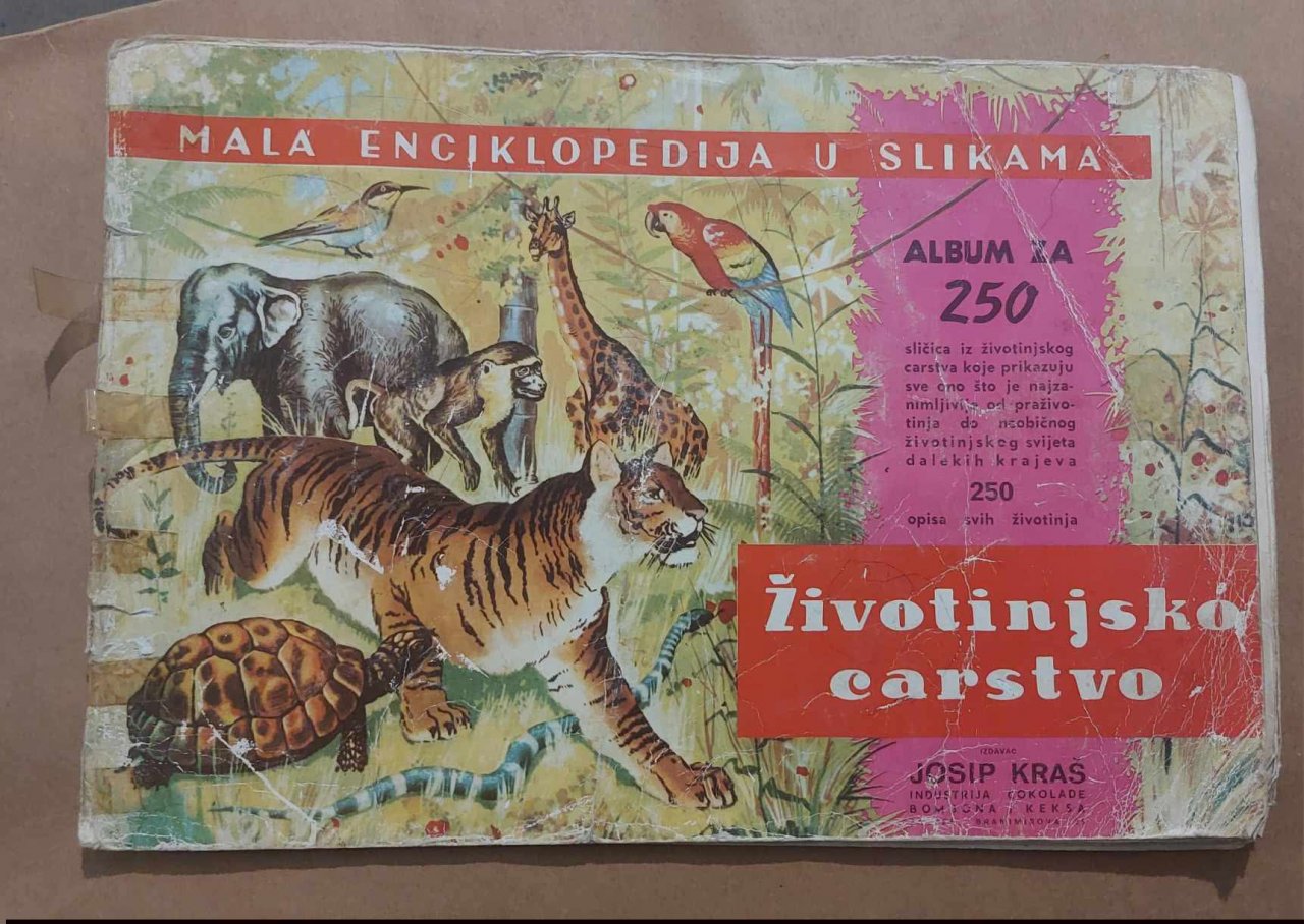 Fenomen Životinjsko carstvo
